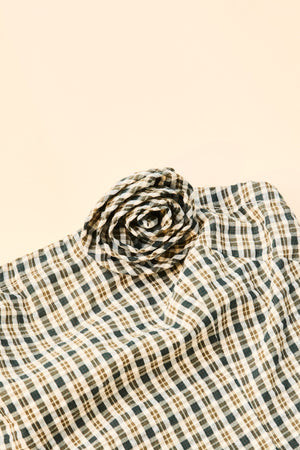 Rhythm Lottie Check Top Brown