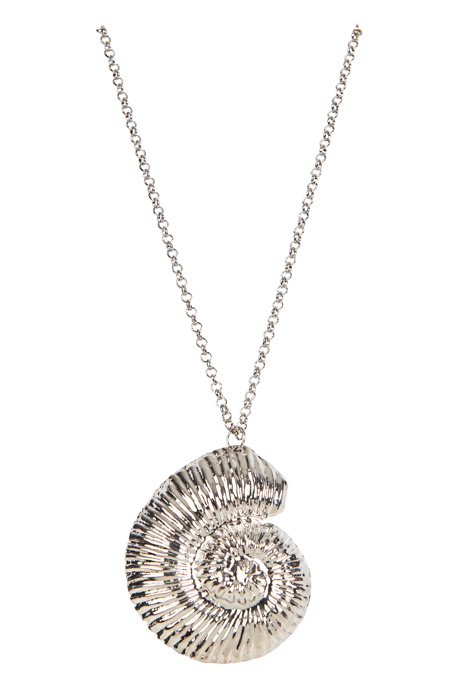 Silver necklace with a shell pendant on a white background