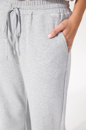 Haven Boston Sweat Pant Grey